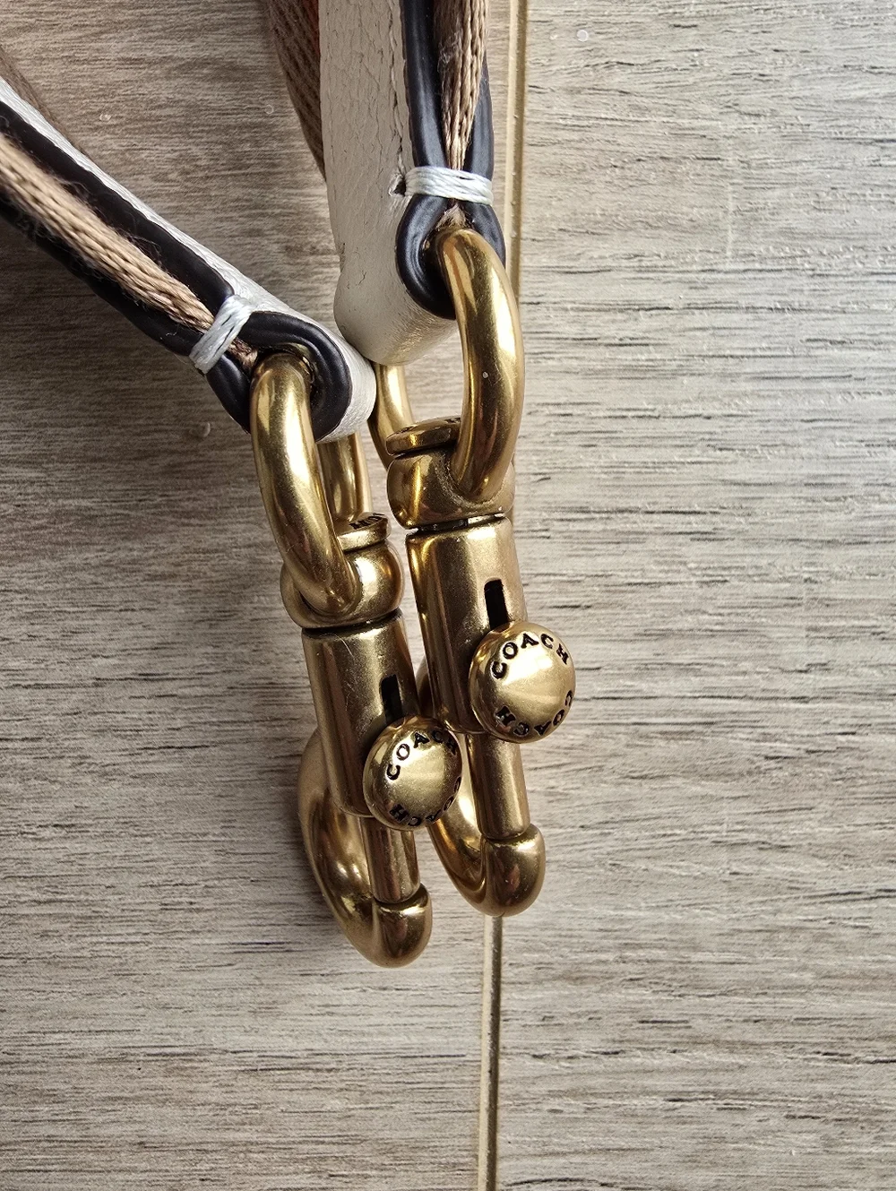 Coach Web Strap - Picture 5 of 5